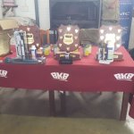 Mosselbaai Toyota borg met trots die BKB Mosselbaai Merino Kudde kompetisie 2017